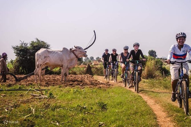 The Mekong Island Biking Tour and Lunch with farmers - Watching silk being made by hand