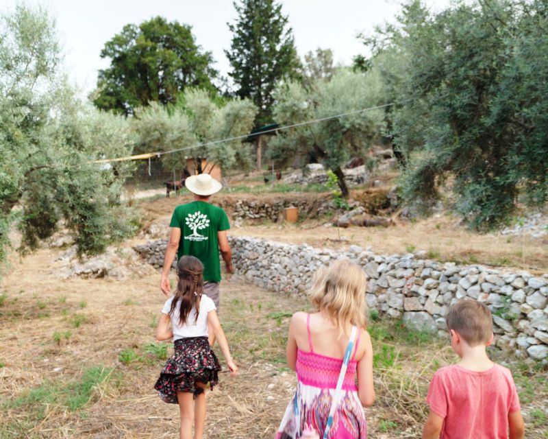 The Olive Oil Experience @ Lefkada Micro Farm - Is the Olive Oil Experience Worth Booking?
