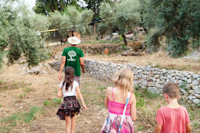 The Olive Oil Experience @ Lefkada Micro Farm - Health claims and what the lesson can really offer