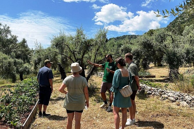 The Olive Oil Experience @ Lefkada Micro Farm - Who will enjoy this olive oil class?