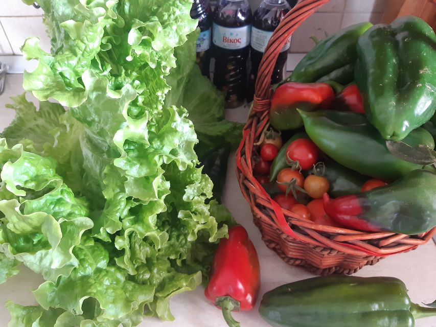 Thessaloniki:Greek Cooking Class and Meal at a Farm A - Dietary needs and the relaxed format