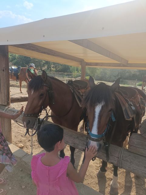 Thessaloniki:Horse Riding in a farm - Key details before you book