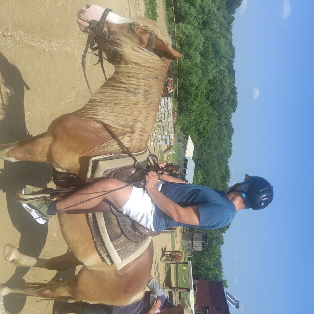 Thessaloniki:Horse Riding in a farm - Why the scenery matters