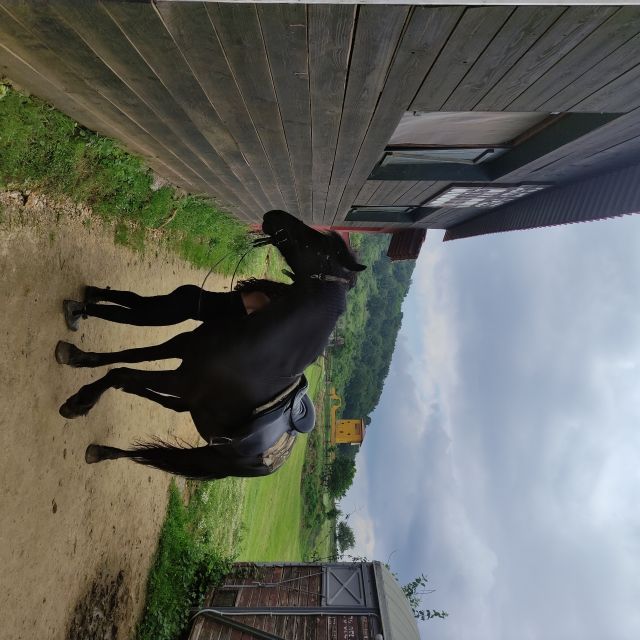 Thessaloniki:Horse Riding in a farm - What the $101 price includes