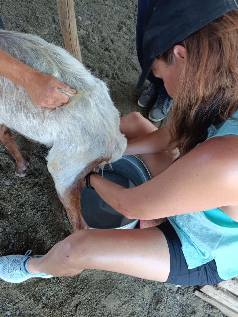 Thessaloniki: Visit a Farm and a traditional Village - Is $89 a Fair Price for Four Hours?