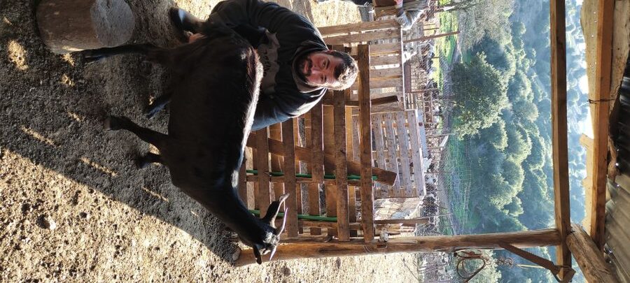 Thessaloniki: Visit a Farm and a traditional Village - Timing, Flexibility, and Practical Planning