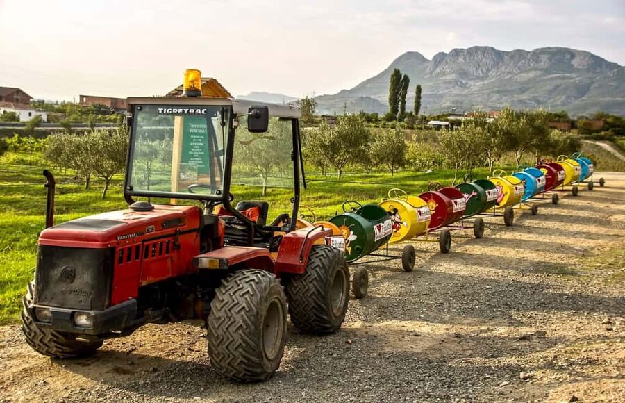 Tirana: Kruja Day Trip with Farm-to-Table Lunch - The Guide and Group Experience