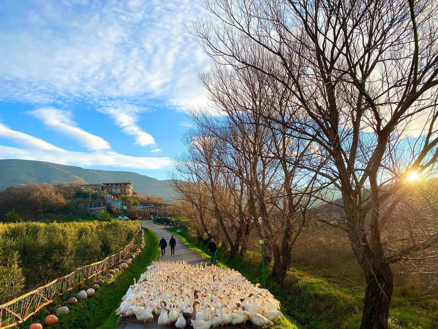 Tirana: Kruja Day Trip with Farm-to-Table Lunch - Kruja Castle and the Story of Skanderbeg