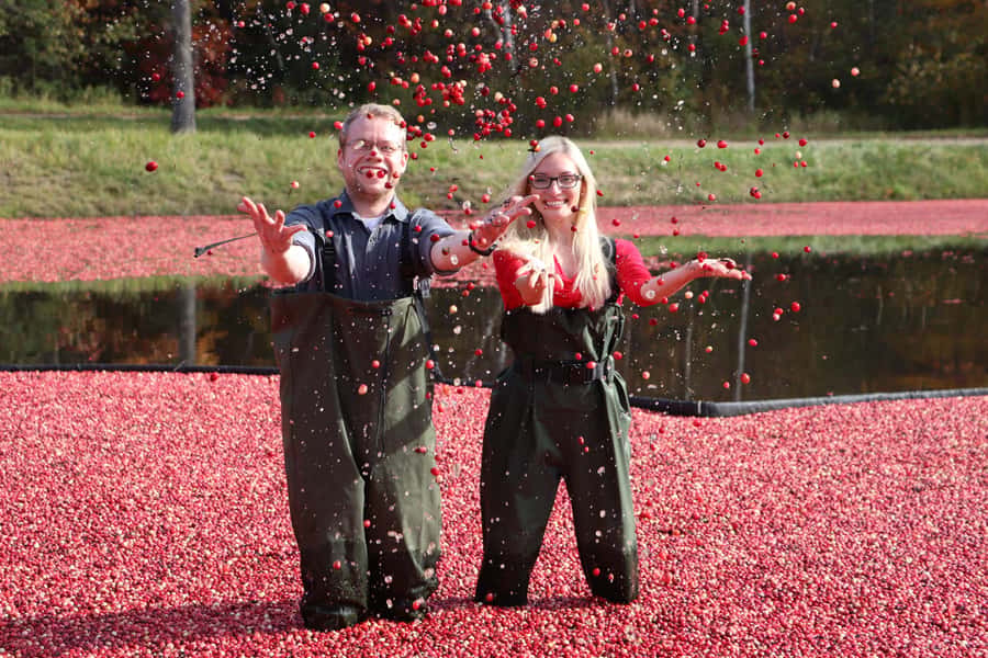 Toronto: Muskoka Cranberry Farm and Hardy Lake Hike - The 105-minute ride north