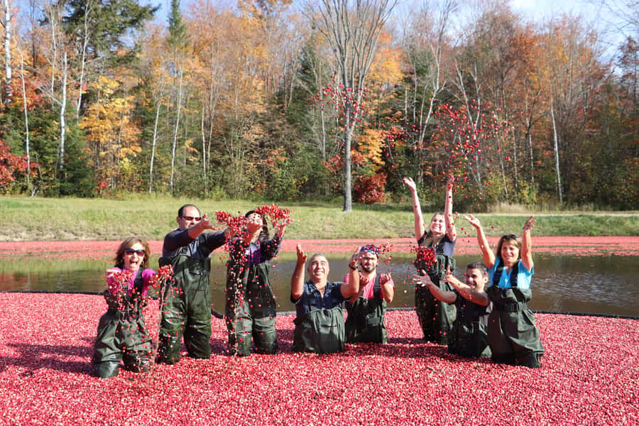 Toronto: Muskoka Cranberry Farm and Hardy Lake Hike - Hardy Lake Provincial Park and its two-hour walk