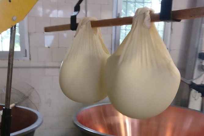 Tour Parmigiano Reggiano dairy and Parma ham - Tasting three ages of cheese