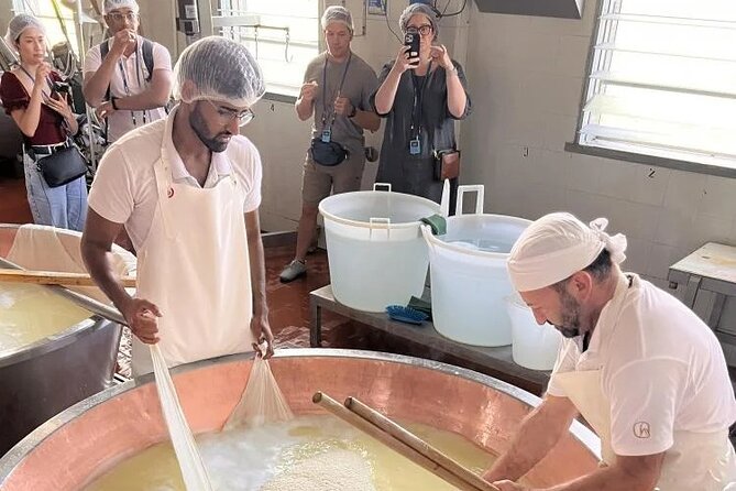 Tour Parmigiano Reggiano dairy and Parma ham - From cheese vats to Langhirano ham rooms