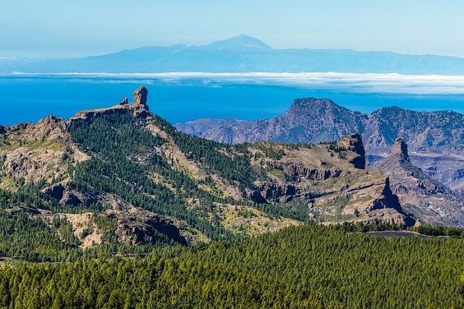 Tour to Arucas, Teror, Aloe Vera farm - Highlights - Why this Gran Canaria day trip works