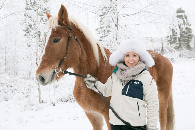 Tour to Aurora Horses Farm with Charming Finnhorses - Quick facts about the Finnhorse visit