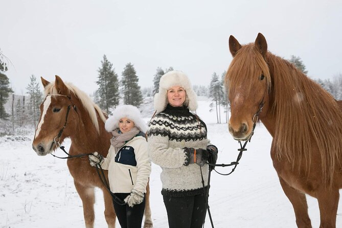 Tour to Aurora Horses Farm with Charming Finnhorses - Meeting the Finnhorse beside Santa Claus Village