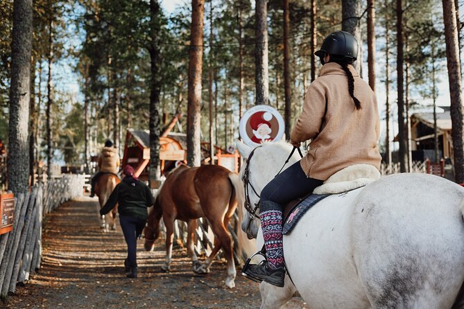 Tour to Aurora Horses Farm with Charming Finnhorses - Why this suits younger children best