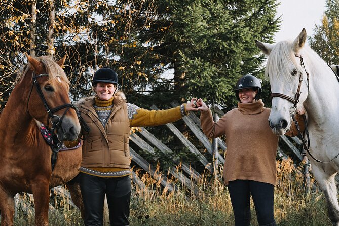 Tour to Aurora Horses Farm with Charming Finnhorses - Weather, cancellations, and planning your day