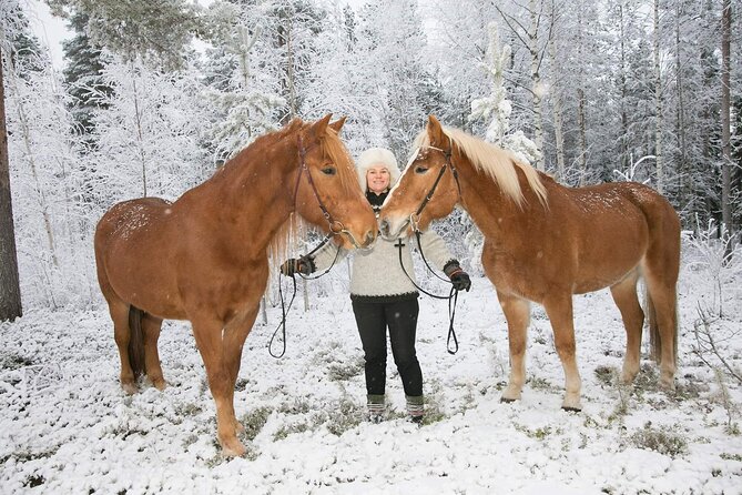 Tour to Aurora Horses Farm with Charming Finnhorses - Feeding, grooming, and caring for the horses