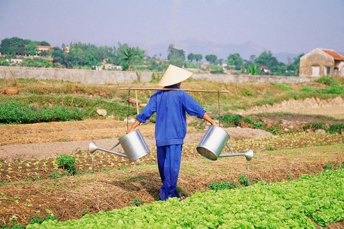 Tra Que Village Cycling And Farming - How much value do you get for $25?