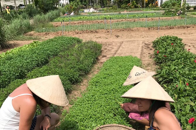 Tra Que Village Cycling And Farming - Timing, group size, and practical comfort