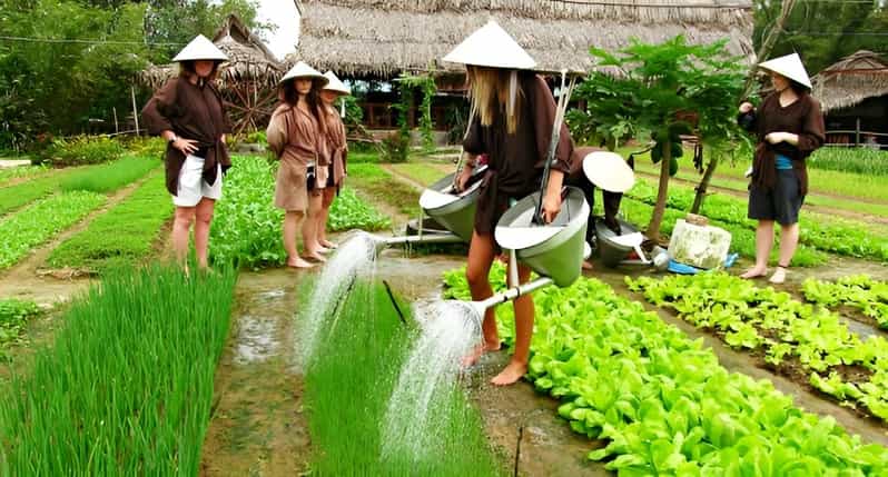 Tra Que Village Vegetable Farm Experience by Bike - Key points to know before booking
