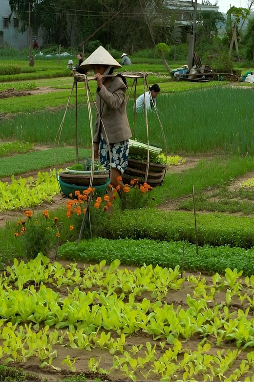 Tra Que Village Vegetable Farm Experience by Bike - From Hoi An lanes to Tra Que fields