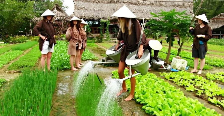 Tra Que Village Vegetable Farm Experience by Bike - A short herbal massage before lunch