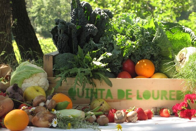Traditional Cooking Class, Farm Tour & Lunch in the Douro Valley - What makes this farm experience special