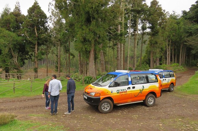 traditional Farmers Market Open 4X4 Half Day Tour - The farmers market: small, local, and not a full morning outing