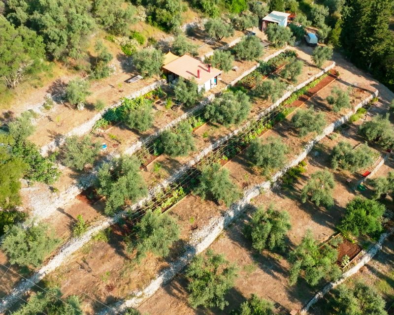 Traditional Greek Cooking Class @ Lefkada Micro Farm - What the $123 Price Really Buys