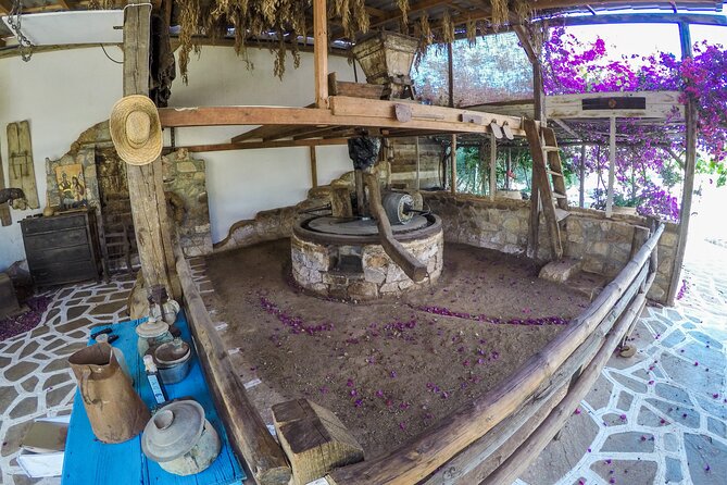Traditional Olive Oil Making at Spiridi Olive Oil Farm - Crete - Weighing olives and starting the work