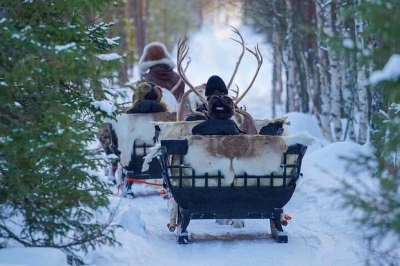 Traditional Reindeer Farm Visit with a Short Sleigh Ride - Why this farm visit feels different from a standard animal attraction