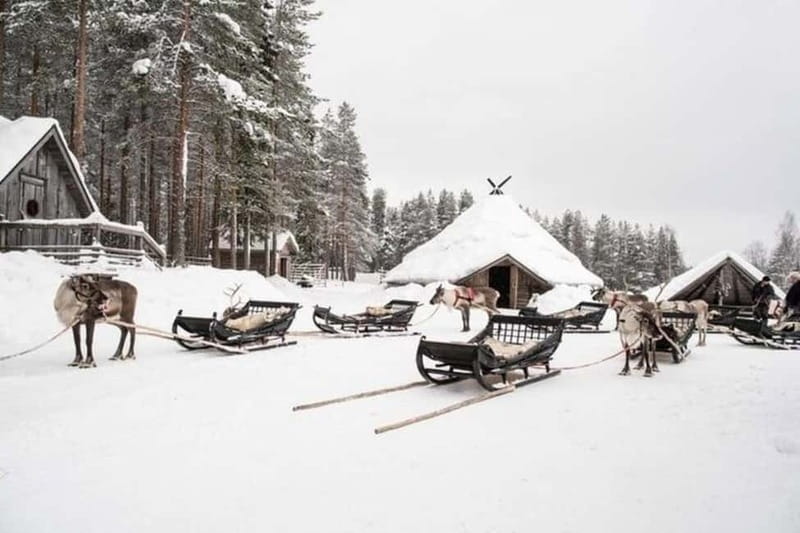 Traditional Reindeer Farm Visit with a Short Sleigh Ride - A good choice for families, first-time visitors, and culture-minded visitors