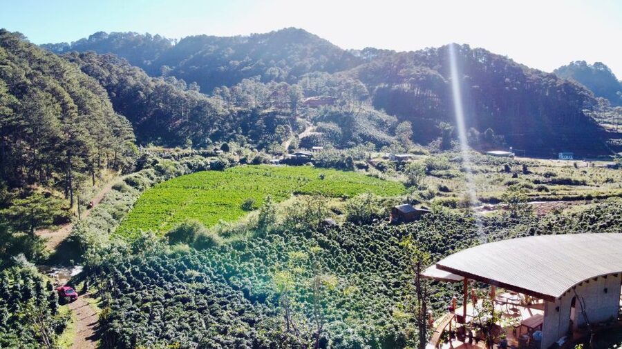 Trekking to Hidden Waterfall & Sturgeon Farm for dog-lovers - Starting at Twin Beans Farm near Dalat