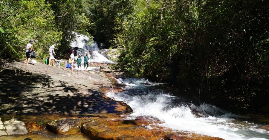 Trekking to Hidden Waterfall & Sturgeon Farm for dog-lovers - Seeing how sturgeon are raised