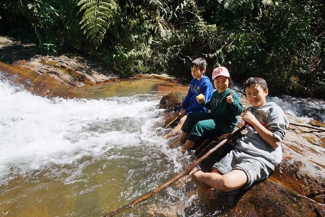 Trekking Tour to Hidden Waterfall & Sturgeon Farm for dog-lovers - Returning to Twin Beans Farm