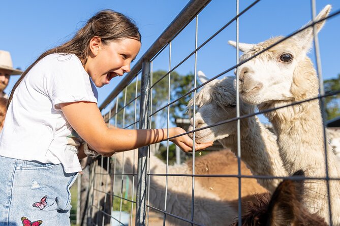 Trevena Glen Farm Animal Experience - Key things to know before visiting Trevena Glen Farm