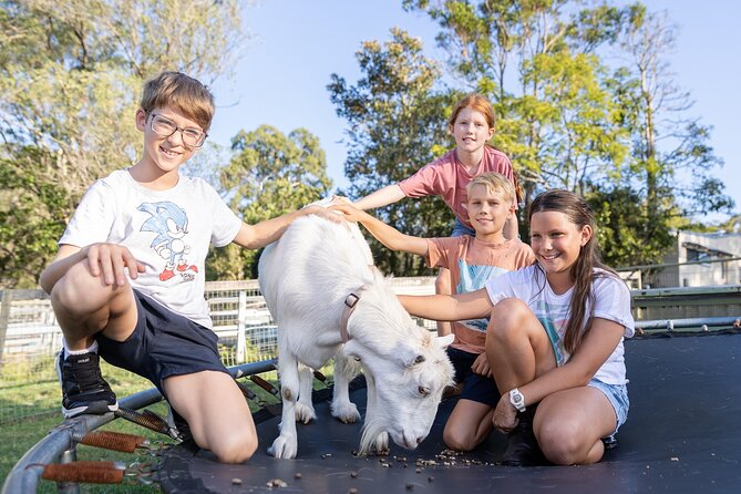 Trevena Glen Farm Animal Experience - How the price compares with the experience