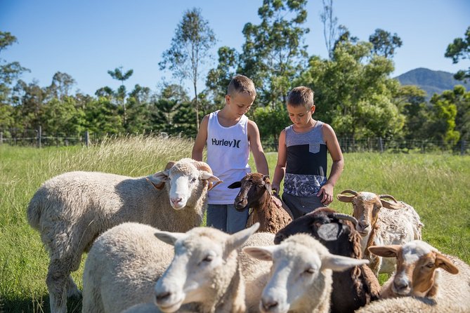Trevena Glen Farm Animal Experience - Practical planning for your visit