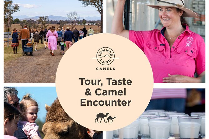 Trevena Glen Farm Animal Experience - A quick word about the animal care