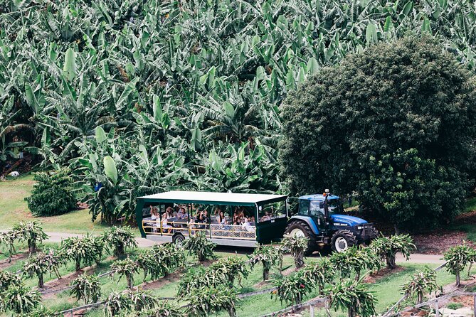 Tropical Fruit World Farm Full Tour - The fauna park and bush tucker activities