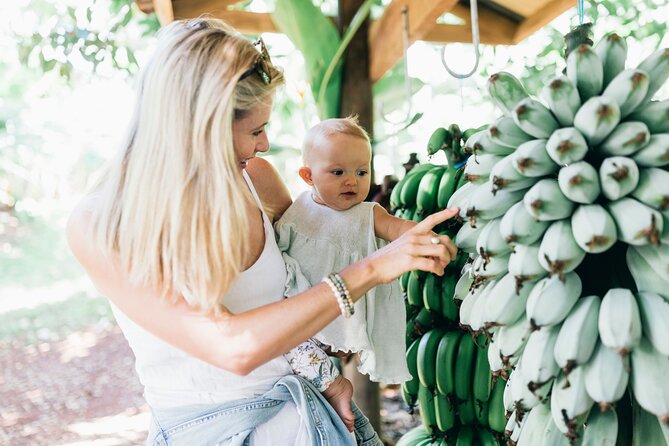 Tropical Fruit World Farm Full Tour - The tractor safari puts the farm in perspective