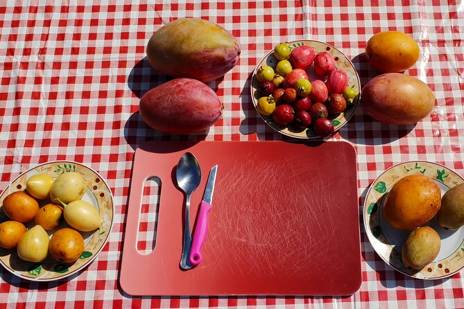 Tropical Tour: Avocado & Mango Farm - Small group and tasting - Seasonal fruit, sea views, and a proper brunch