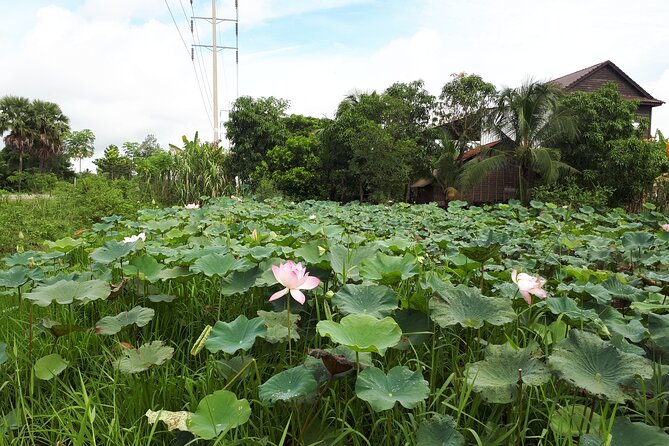 Tuk Tuk Journey: Exploring Rural Life and Silk Farm Craftsmanship - A quiet stop at វត្តខ្នាតរង្សី
