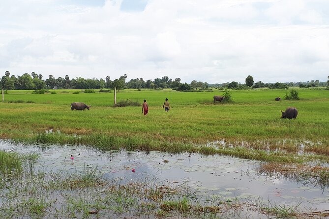 Tuk Tuk Journey: Exploring Rural Life and Silk Farm Craftsmanship - What the $45 price really covers