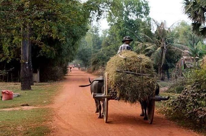 Tuk Tuk Journey: Exploring Rural Life and Silk Farm Craftsmanship - Timing, comfort, and the small practical details