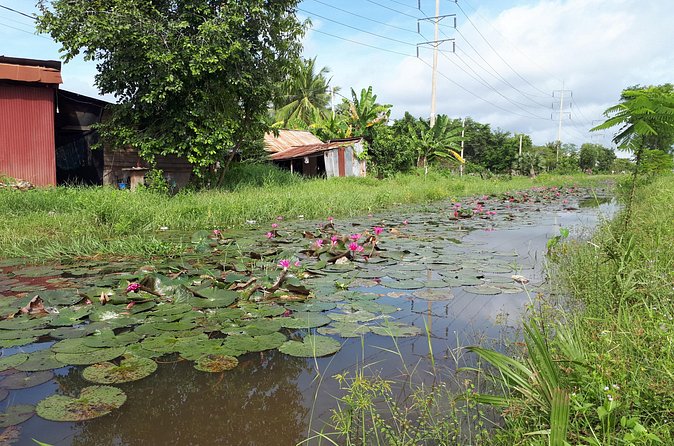 Tuk Tuk Journey: Exploring Rural Life and Silk Farm Craftsmanship - Should you book the Krabei Riel and Silk Farm tour?