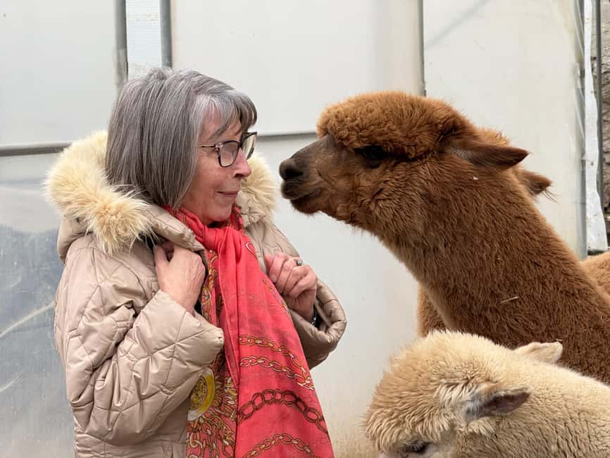 Turin: Meet the Monviso Alpacas at the Educational Farm with a Guide - Tips for making the hour count