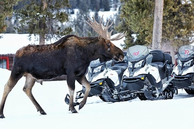 Turpin Meadow Ranch Snowmobiling in Jackson Hole - From Jackson Hole to Turpin Meadow Ranch