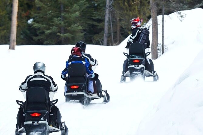 Turpin Meadow Ranch Snowmobiling in Jackson Hole - Price, timing, and cancellation details